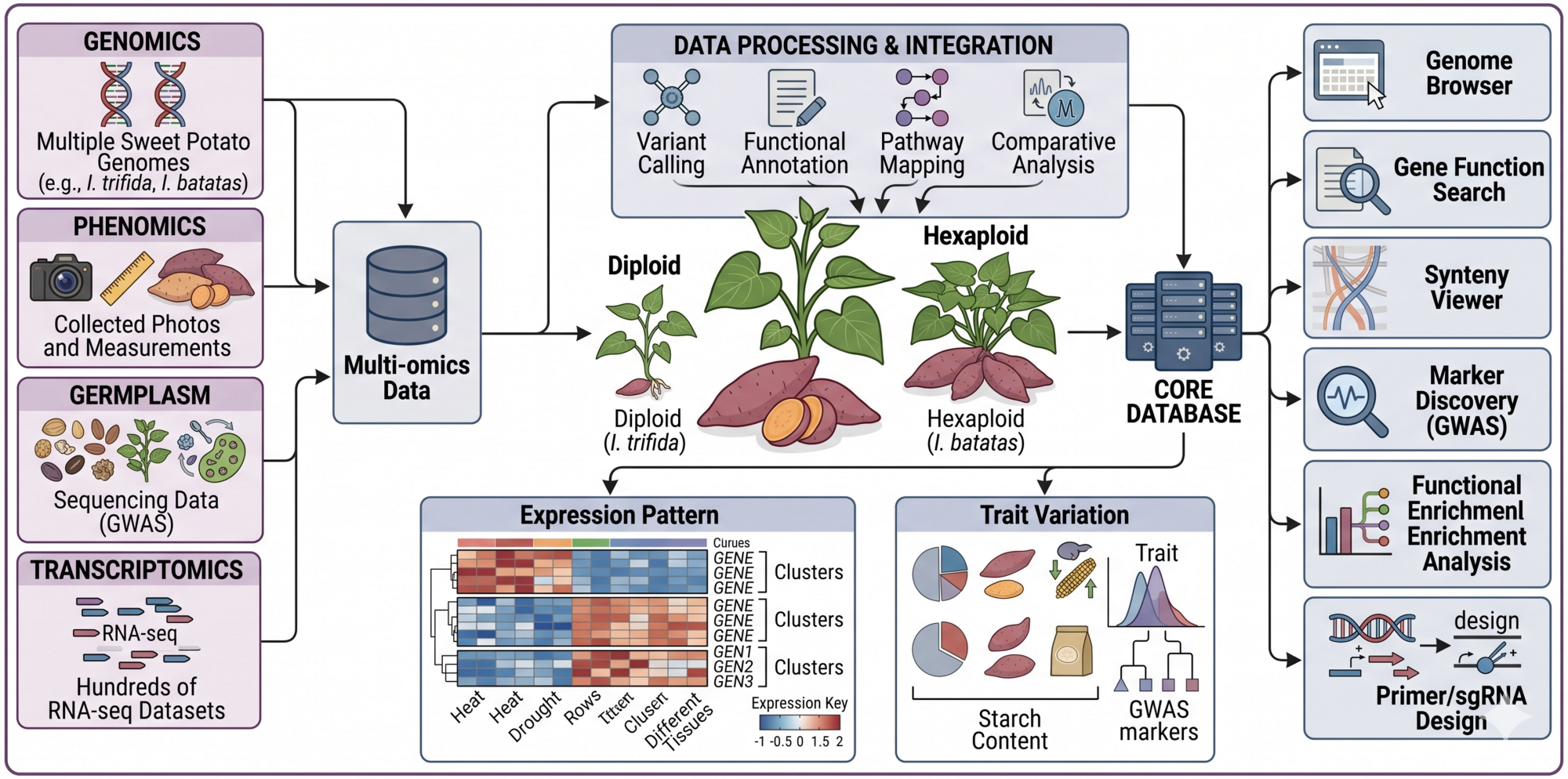SweetpotatoGGRD Overview
